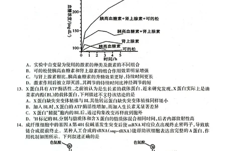 广西2025年3月高三第二次适应性考试生物试卷_2025年3月_250308广西壮族自治区2025年3月高三毕业班第二次高考适应性测试（全科）