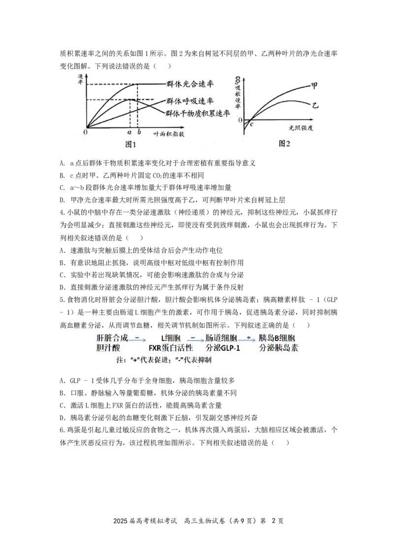湖北省&ldquo;黄鄂鄂&rdquo;2025年高三下学期4月联考生物_2025年5月_0502湖北省&ldquo;黄鄂鄂&rdquo;2025年高三下学期4月联考（全）