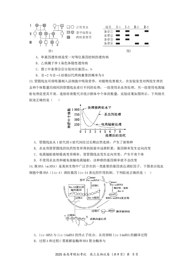 湖北省&ldquo;黄鄂鄂&rdquo;2025年高三下学期4月联考生物_2025年5月_0502湖北省&ldquo;黄鄂鄂&rdquo;2025年高三下学期4月联考（全）