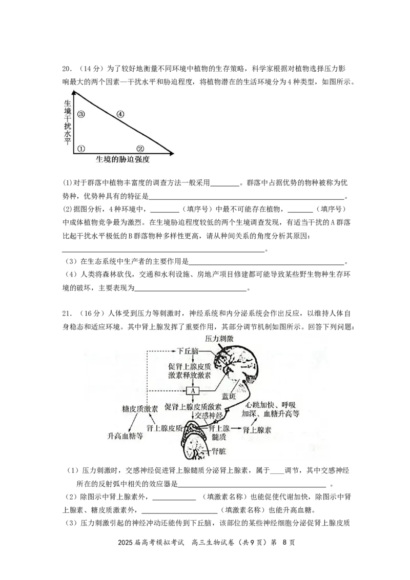 湖北省&ldquo;黄鄂鄂&rdquo;2025年高三下学期4月联考生物_2025年5月_0502湖北省&ldquo;黄鄂鄂&rdquo;2025年高三下学期4月联考（全）
