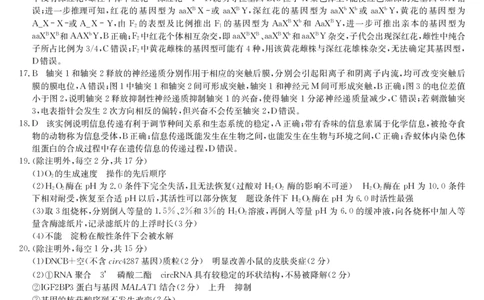湖北省黄冈市2025届高三下学期核心预测卷生物答案_2025年2月_2502282025届高三下学期核心预测卷（全科）