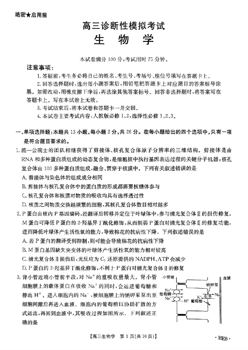 河北省金太阳2025届高三3月联考生物_2025年3月_250315河北省金太阳2025届高三3月联考（高三诊断性模拟考试）（全科）_河北省金太阳2025届高三3月联考生物