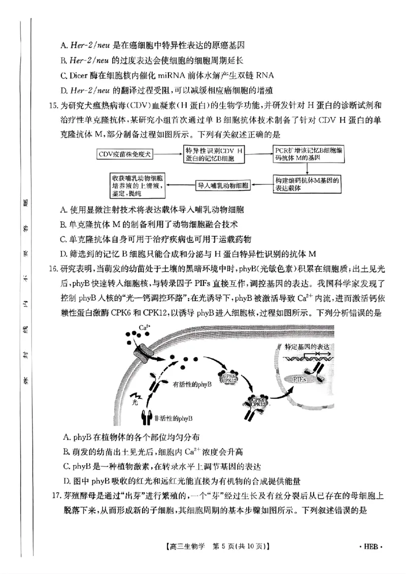 河北省金太阳2025届高三3月联考生物_2025年3月_250315河北省金太阳2025届高三3月联考（高三诊断性模拟考试）（全科）_河北省金太阳2025届高三3月联考生物