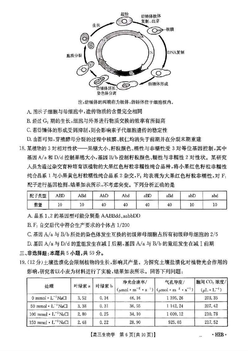 河北省金太阳2025届高三3月联考生物_2025年3月_250315河北省金太阳2025届高三3月联考（高三诊断性模拟考试）（全科）_河北省金太阳2025届高三3月联考生物