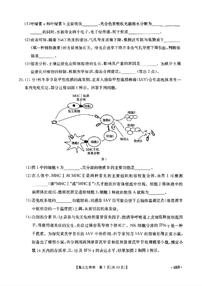 河北省金太阳2025届高三3月联考生物_2025年3月_250315河北省金太阳2025届高三3月联考（高三诊断性模拟考试）（全科）_河北省金太阳2025届高三3月联考生物