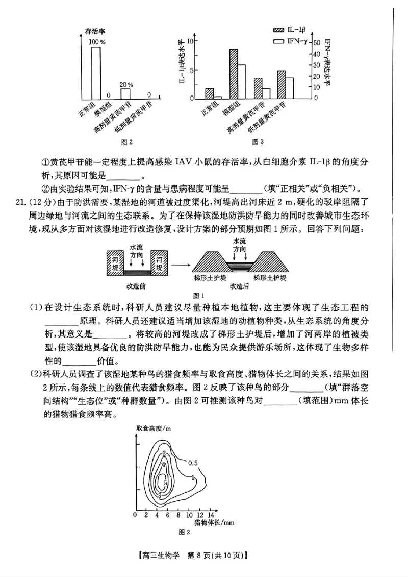 河北省金太阳2025届高三3月联考生物_2025年3月_250315河北省金太阳2025届高三3月联考（高三诊断性模拟考试）（全科）_河北省金太阳2025届高三3月联考生物