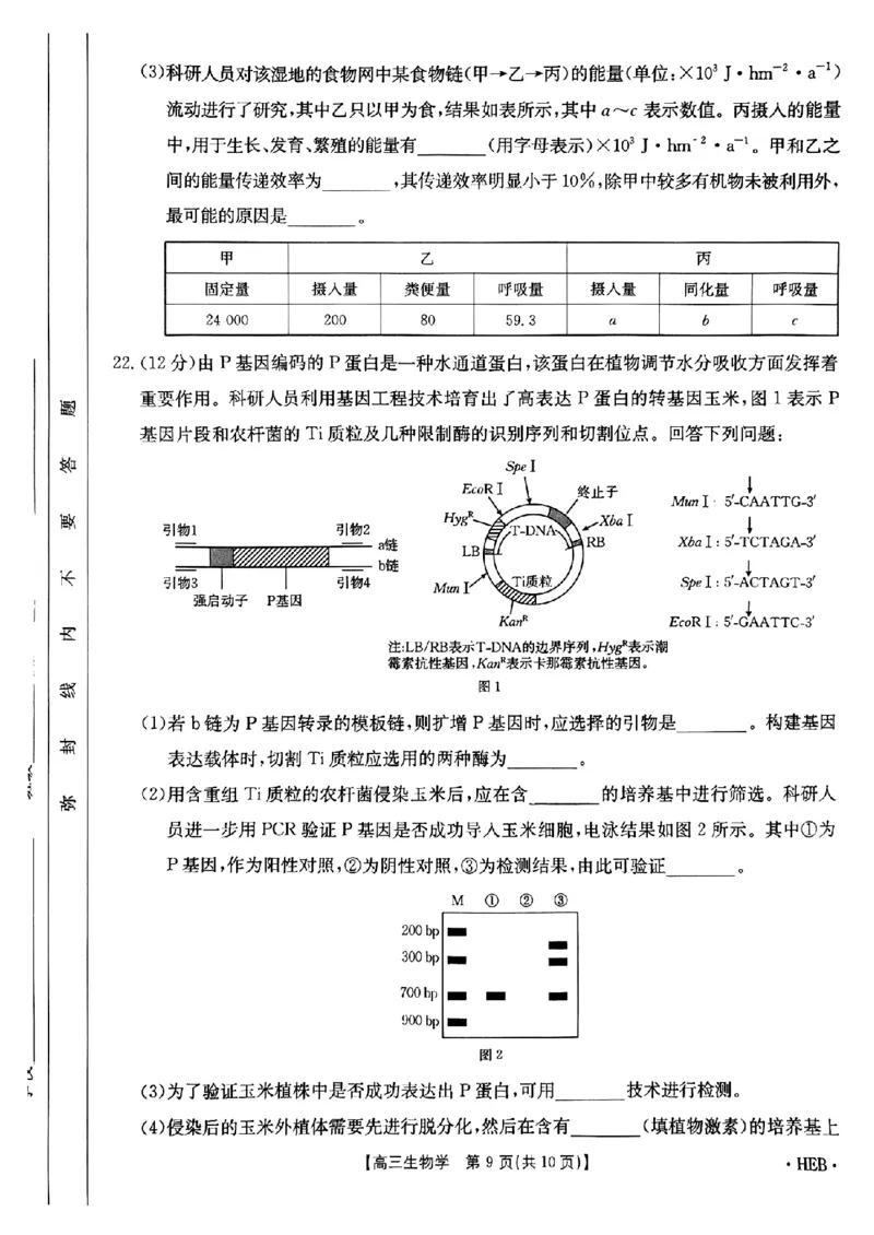 河北省金太阳2025届高三3月联考生物_2025年3月_250315河北省金太阳2025届高三3月联考（高三诊断性模拟考试）（全科）_河北省金太阳2025届高三3月联考生物