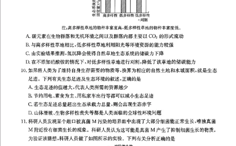 河北省金太阳2025届高三3月联考生物_2025年3月_250315河北省金太阳2025届高三3月联考（高三诊断性模拟考试）（全科）_河北省金太阳2025届高三3月联考生物