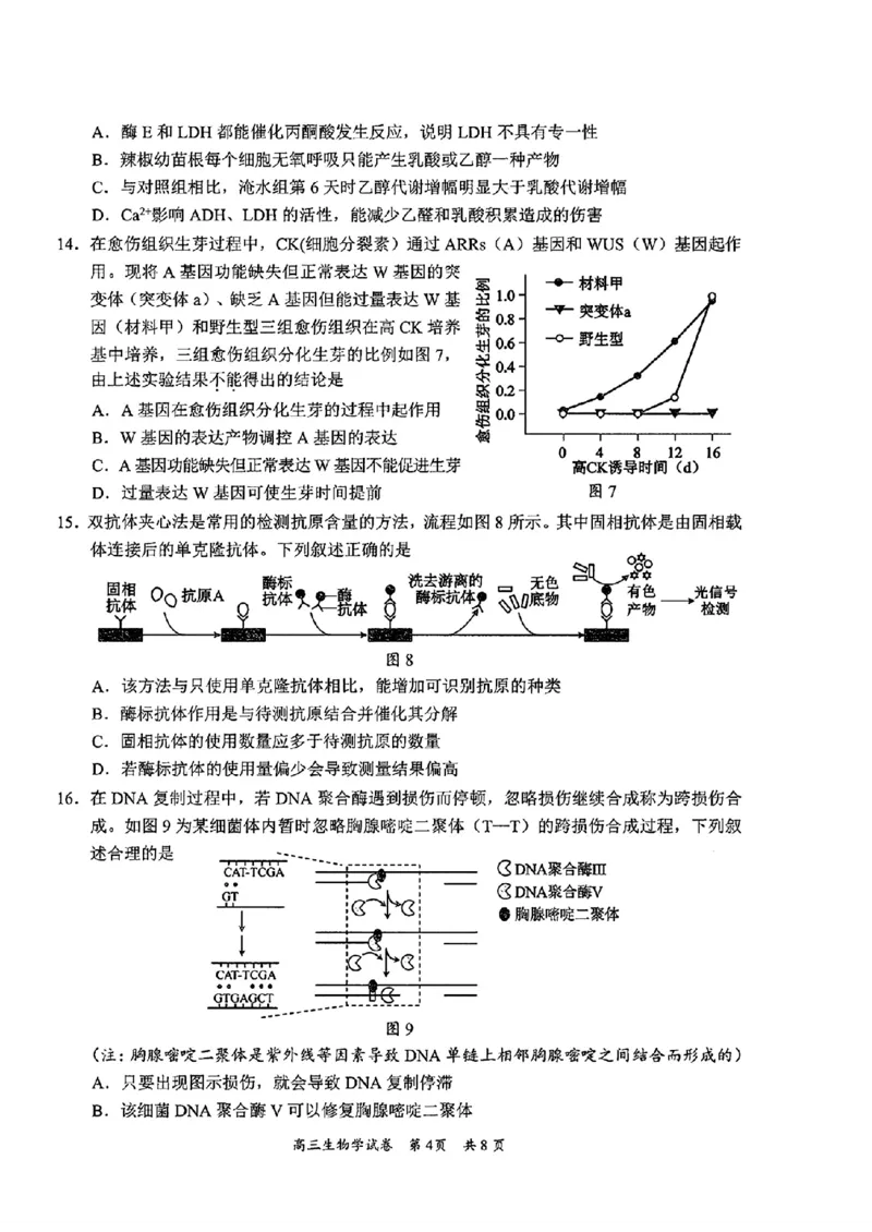 生物试卷_2025年2月_2502192025届广东省梅州市高三下学期模拟预测（一）（全科）_2025届广东梅州一模生物