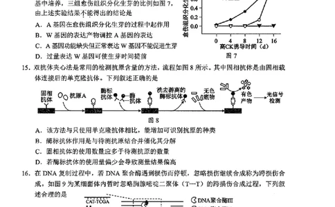 生物试卷_2025年2月_2502192025届广东省梅州市高三下学期模拟预测（一）（全科）_2025届广东梅州一模生物
