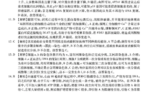 南开中学高2026届高三第二次质量检测+生物答案_2025年10月_251013重庆市南开中学2026届高三上学期第二次质量检测（全科）