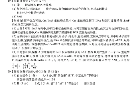 南开中学高2026届高三第二次质量检测+生物答案_2025年10月_251013重庆市南开中学2026届高三上学期第二次质量检测（全科）