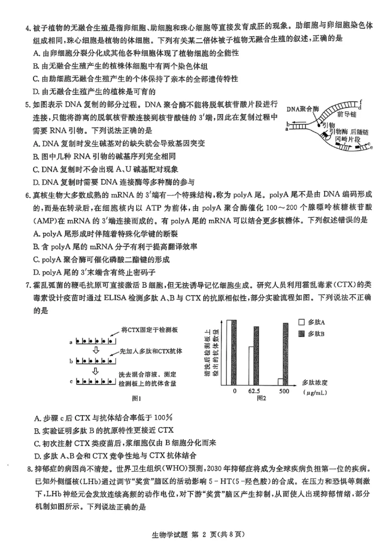 湖南省2025届高三九校联盟第二次联考生物_2025年3月_250315湖南省九校联盟2025届高三下学期第二次联考（全科）_湖南省九校联盟2025届高三下学期第二次联考生物