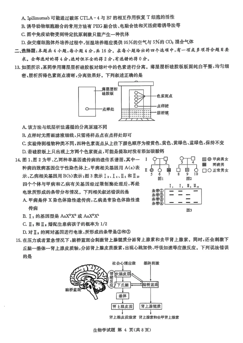 湖南省2025届高三九校联盟第二次联考生物_2025年3月_250315湖南省九校联盟2025届高三下学期第二次联考（全科）_湖南省九校联盟2025届高三下学期第二次联考生物