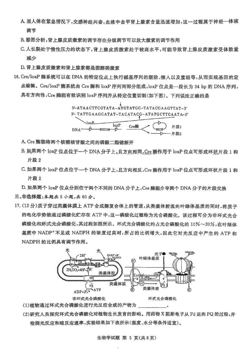 湖南省2025届高三九校联盟第二次联考生物_2025年3月_250315湖南省九校联盟2025届高三下学期第二次联考（全科）_湖南省九校联盟2025届高三下学期第二次联考生物