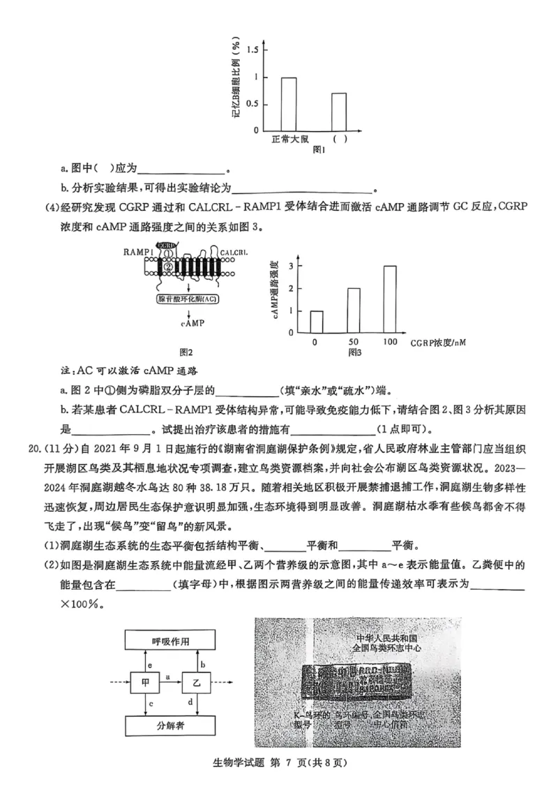湖南省2025届高三九校联盟第二次联考生物_2025年3月_250315湖南省九校联盟2025届高三下学期第二次联考（全科）_湖南省九校联盟2025届高三下学期第二次联考生物