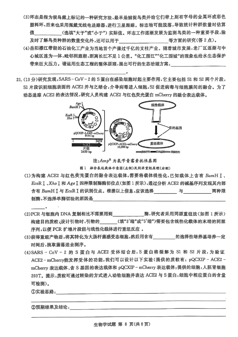湖南省2025届高三九校联盟第二次联考生物_2025年3月_250315湖南省九校联盟2025届高三下学期第二次联考（全科）_湖南省九校联盟2025届高三下学期第二次联考生物