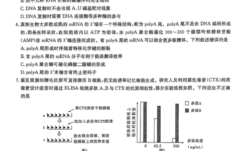 湖南省2025届高三九校联盟第二次联考生物_2025年3月_250315湖南省九校联盟2025届高三下学期第二次联考（全科）_湖南省九校联盟2025届高三下学期第二次联考生物