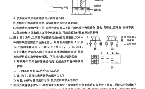 湖南省2025届高三九校联盟第二次联考生物_2025年3月_250315湖南省九校联盟2025届高三下学期第二次联考（全科）_湖南省九校联盟2025届高三下学期第二次联考生物