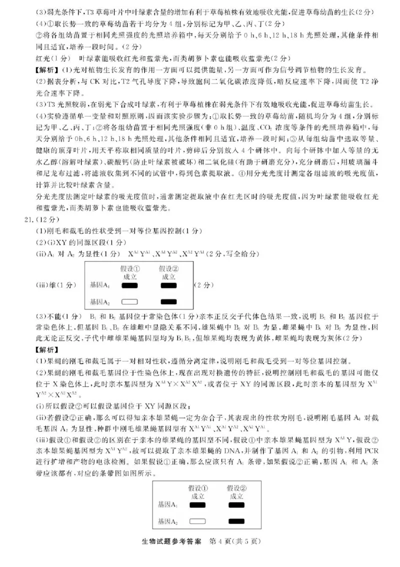 江西省创智协作体2026届高三上学期9月联合调研考试生物试题（含答案）_2025年10月_251001江西省创智协作体2026届高三上学期9月联合调研考试（全科）