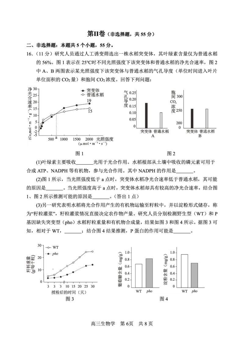 四川省攀枝花市2025届高三第三次统一考试生物_2025年5月_250515四川省攀枝花市2025届高三第三次统一考试（攀枝花三统）（全科）