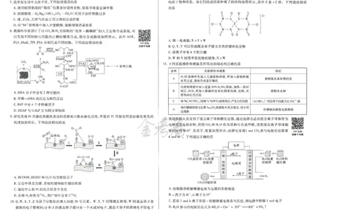 2024年天星高考临考预测押题密卷新教材理科卷（理科综合能力测试）_2024高考押题卷_12024天星全系列_@@@天星临考押题密卷汇总重复