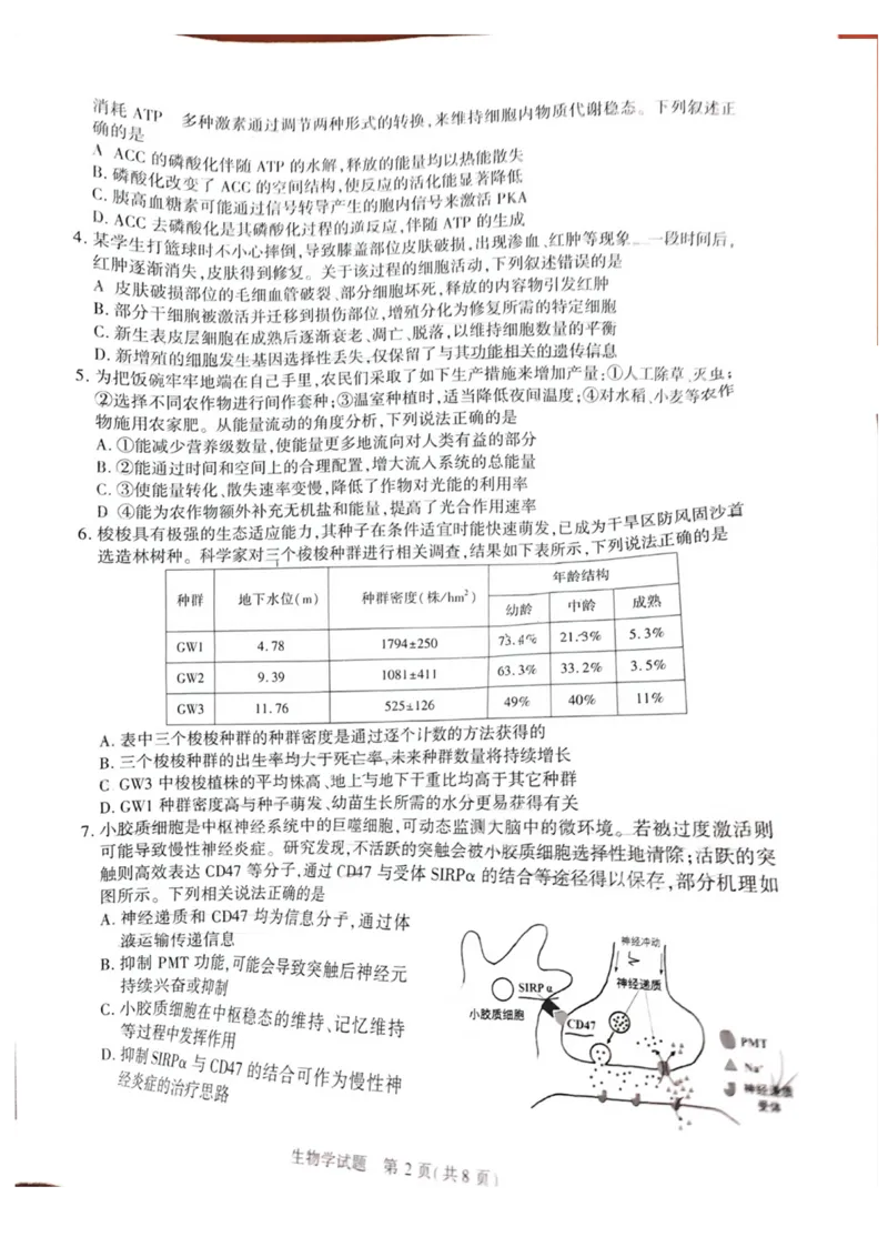 安徽省合肥市2025届高三第二次教学质量检测生物试题（含答案）_2025年3月_250326安徽省合肥市2025届高三第二次教学质量检测（全科）