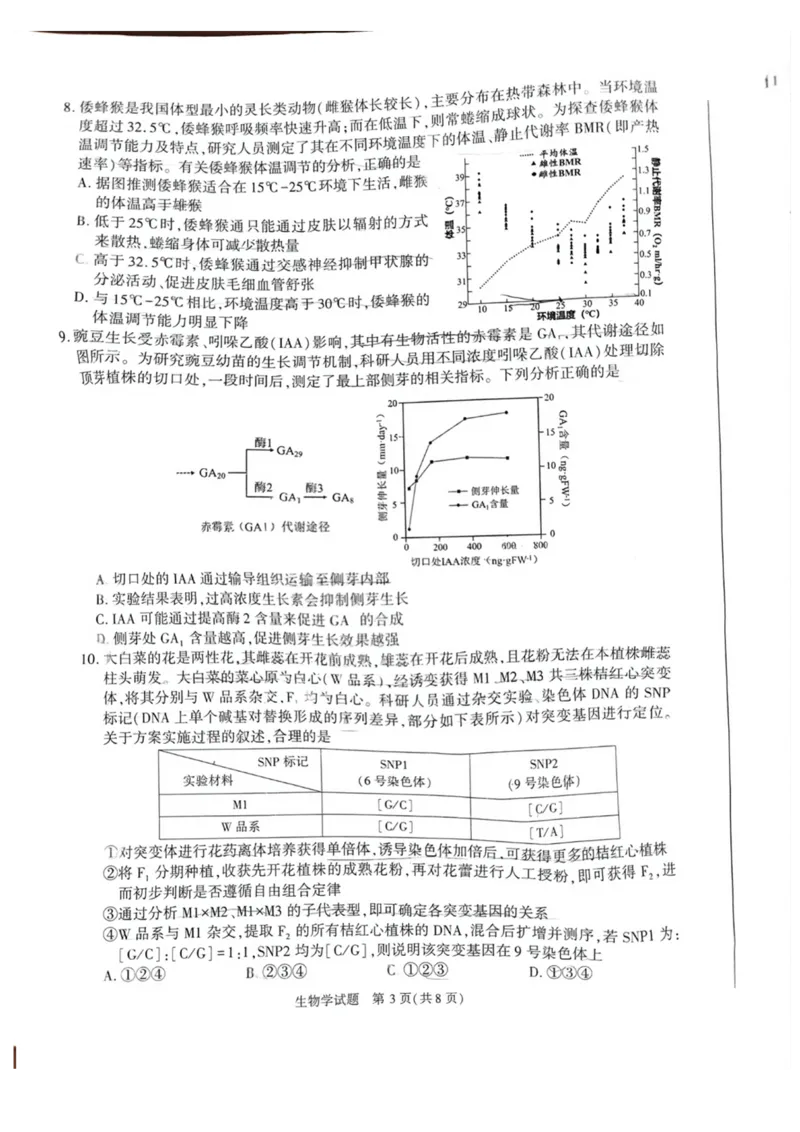 安徽省合肥市2025届高三第二次教学质量检测生物试题（含答案）_2025年3月_250326安徽省合肥市2025届高三第二次教学质量检测（全科）