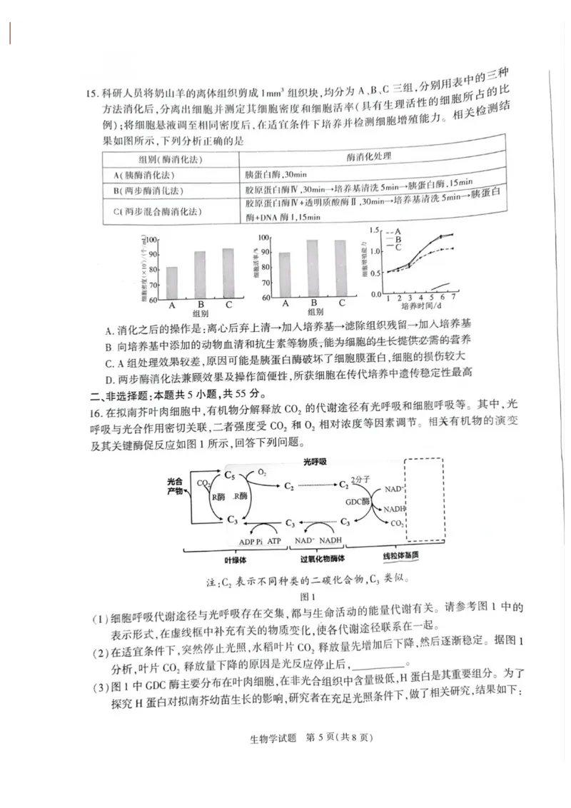 安徽省合肥市2025届高三第二次教学质量检测生物试题（含答案）_2025年3月_250326安徽省合肥市2025届高三第二次教学质量检测（全科）