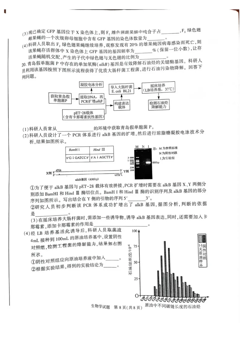 安徽省合肥市2025届高三第二次教学质量检测生物试题（含答案）_2025年3月_250326安徽省合肥市2025届高三第二次教学质量检测（全科）