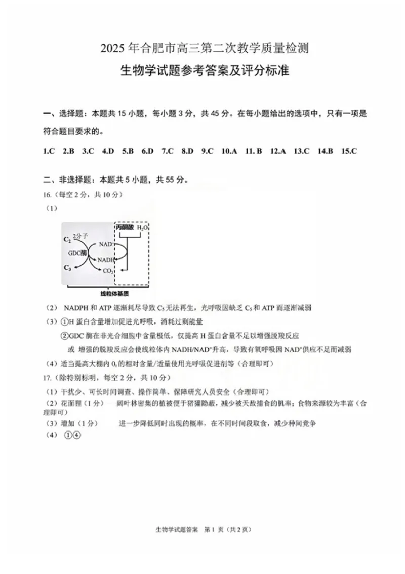 安徽省合肥市2025届高三第二次教学质量检测生物试题（含答案）_2025年3月_250326安徽省合肥市2025届高三第二次教学质量检测（全科）
