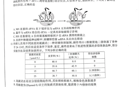 安徽省合肥市2025届高三第二次教学质量检测生物试题（含答案）_2025年3月_250326安徽省合肥市2025届高三第二次教学质量检测（全科）