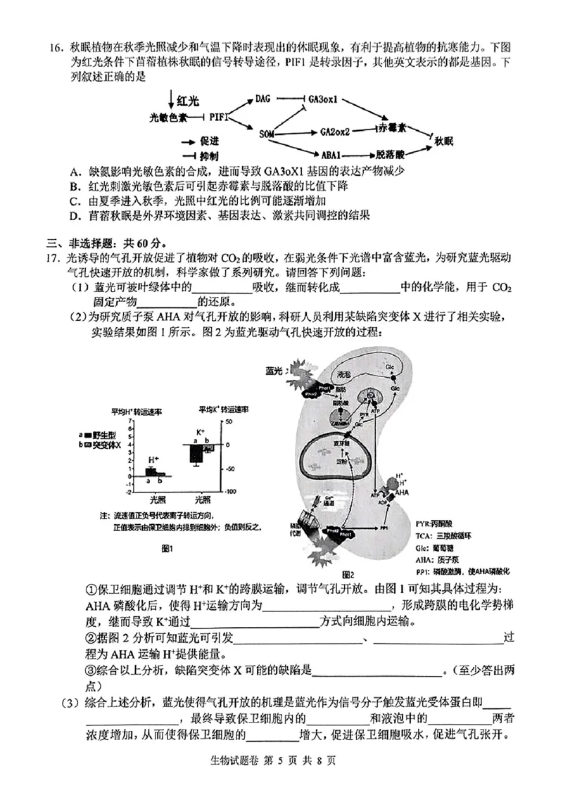 湖南省株洲市2025届高三上学期教学质量统一检测生物_2025年1月_250111湖南省株洲市2025届高三上学期教学质量统一检测（株洲一模）