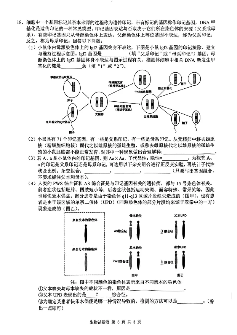 湖南省株洲市2025届高三上学期教学质量统一检测生物_2025年1月_250111湖南省株洲市2025届高三上学期教学质量统一检测（株洲一模）