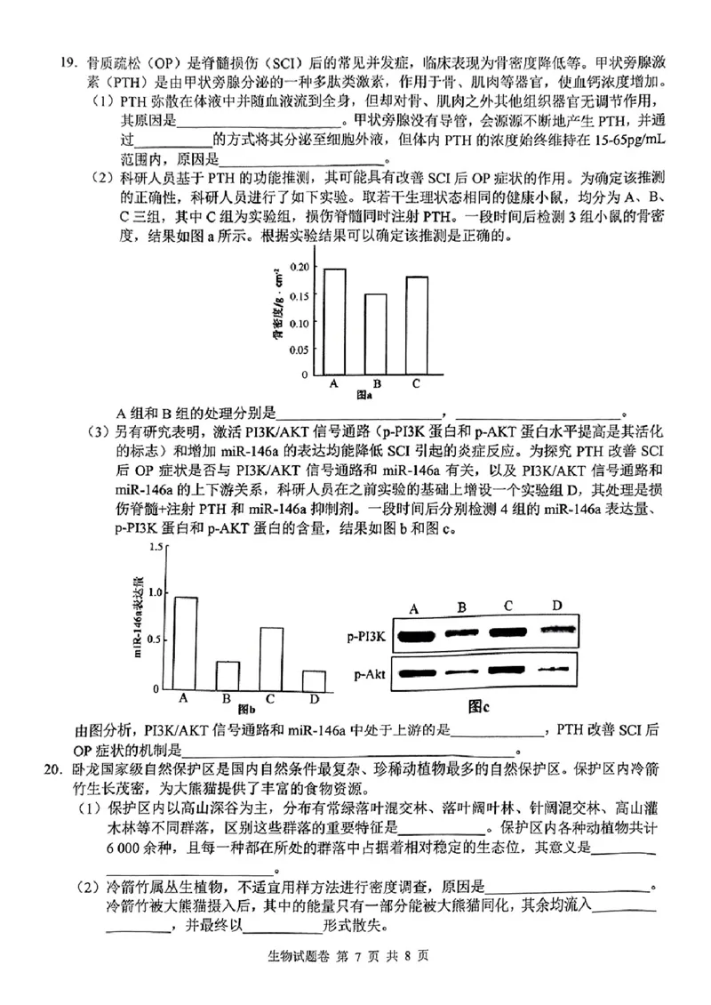 湖南省株洲市2025届高三上学期教学质量统一检测生物_2025年1月_250111湖南省株洲市2025届高三上学期教学质量统一检测（株洲一模）