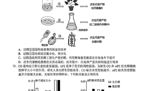湖南省株洲市2025届高三上学期教学质量统一检测生物_2025年1月_250111湖南省株洲市2025届高三上学期教学质量统一检测（株洲一模）