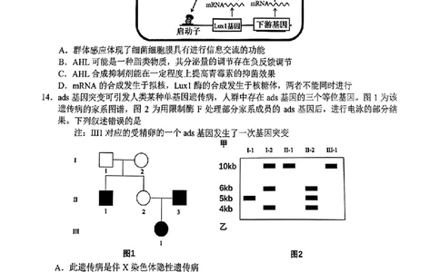 湖南省株洲市2025届高三上学期教学质量统一检测生物_2025年1月_250111湖南省株洲市2025届高三上学期教学质量统一检测（株洲一模）