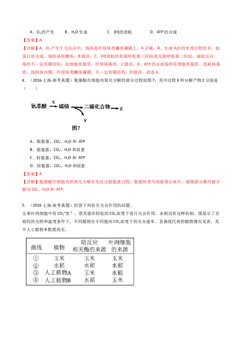 专题07细胞代谢的综合（解析卷）_近10年高考真题汇编（必刷）_十年（2014-2024）高考生物真题分项汇编（全国通用）_十年（2014-2023）高考生物真题分项汇编（全国通用）