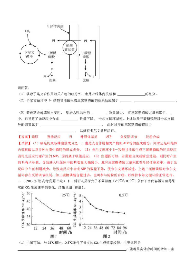专题07细胞代谢的综合（解析卷）_近10年高考真题汇编（必刷）_十年（2014-2024）高考生物真题分项汇编（全国通用）_十年（2014-2023）高考生物真题分项汇编（全国通用）