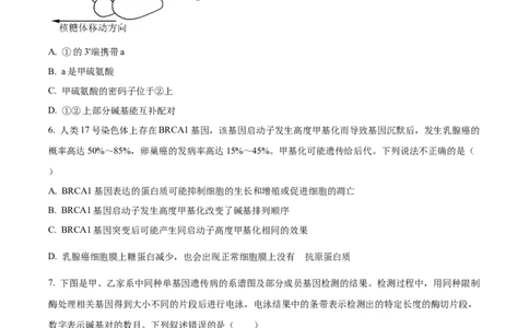 炎德&middot;英才大联考长郡中学2026届高三月考试卷（一）生物_2025年8月_250818湖南省长沙市长郡中学2025-2026学年高三上学期月考（一）（全科）