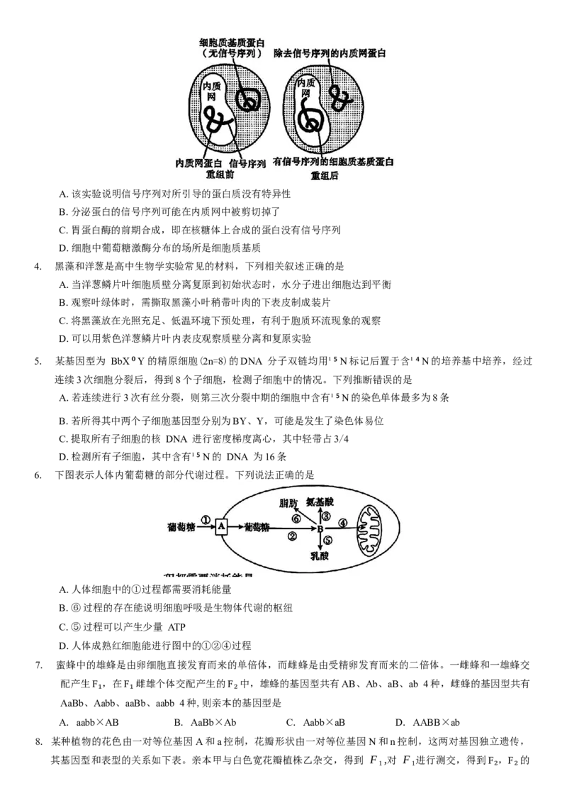 河南省信阳市2024-2025学年普通高中高三第二次教学质量检测生物模拟试题（含答案）_2025年1月_250122河南省信阳市2024-2025学年高三第二次教学质量检测（全科）