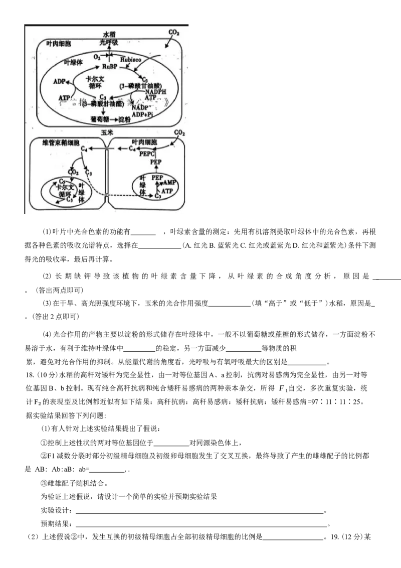河南省信阳市2024-2025学年普通高中高三第二次教学质量检测生物模拟试题（含答案）_2025年1月_250122河南省信阳市2024-2025学年高三第二次教学质量检测（全科）