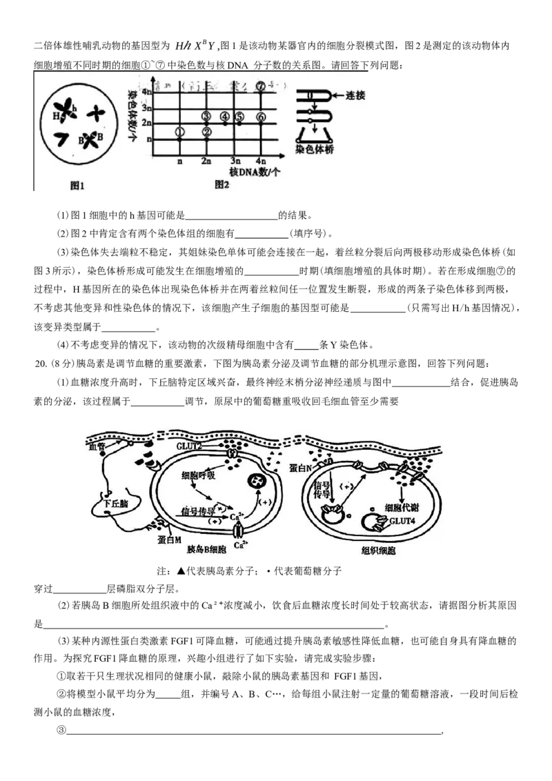 河南省信阳市2024-2025学年普通高中高三第二次教学质量检测生物模拟试题（含答案）_2025年1月_250122河南省信阳市2024-2025学年高三第二次教学质量检测（全科）