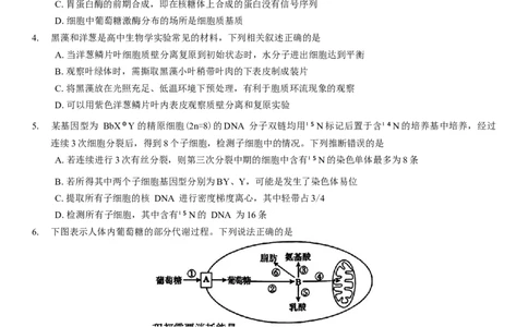 河南省信阳市2024-2025学年普通高中高三第二次教学质量检测生物模拟试题（含答案）_2025年1月_250122河南省信阳市2024-2025学年高三第二次教学质量检测（全科）