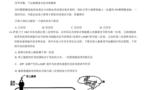 河南省信阳市2024-2025学年普通高中高三第二次教学质量检测生物模拟试题（含答案）_2025年1月_250122河南省信阳市2024-2025学年高三第二次教学质量检测（全科）