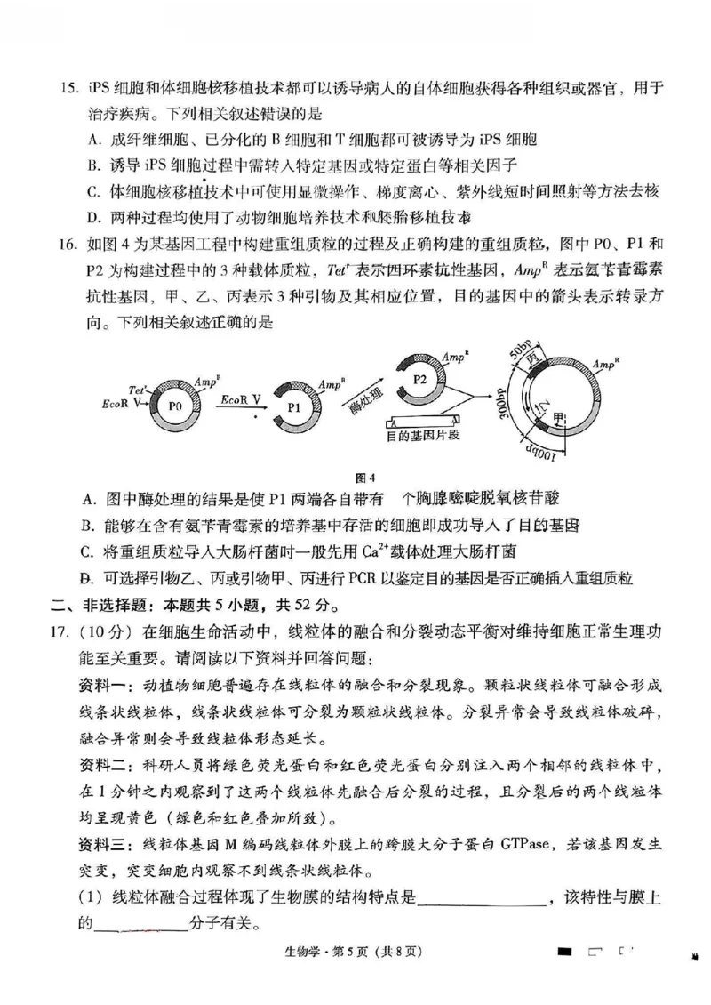 生物+2025届高三云南师大附中试卷及答案（月考九）_2025年5月_250518云南师大附中2025届高考适应性月考卷（九）