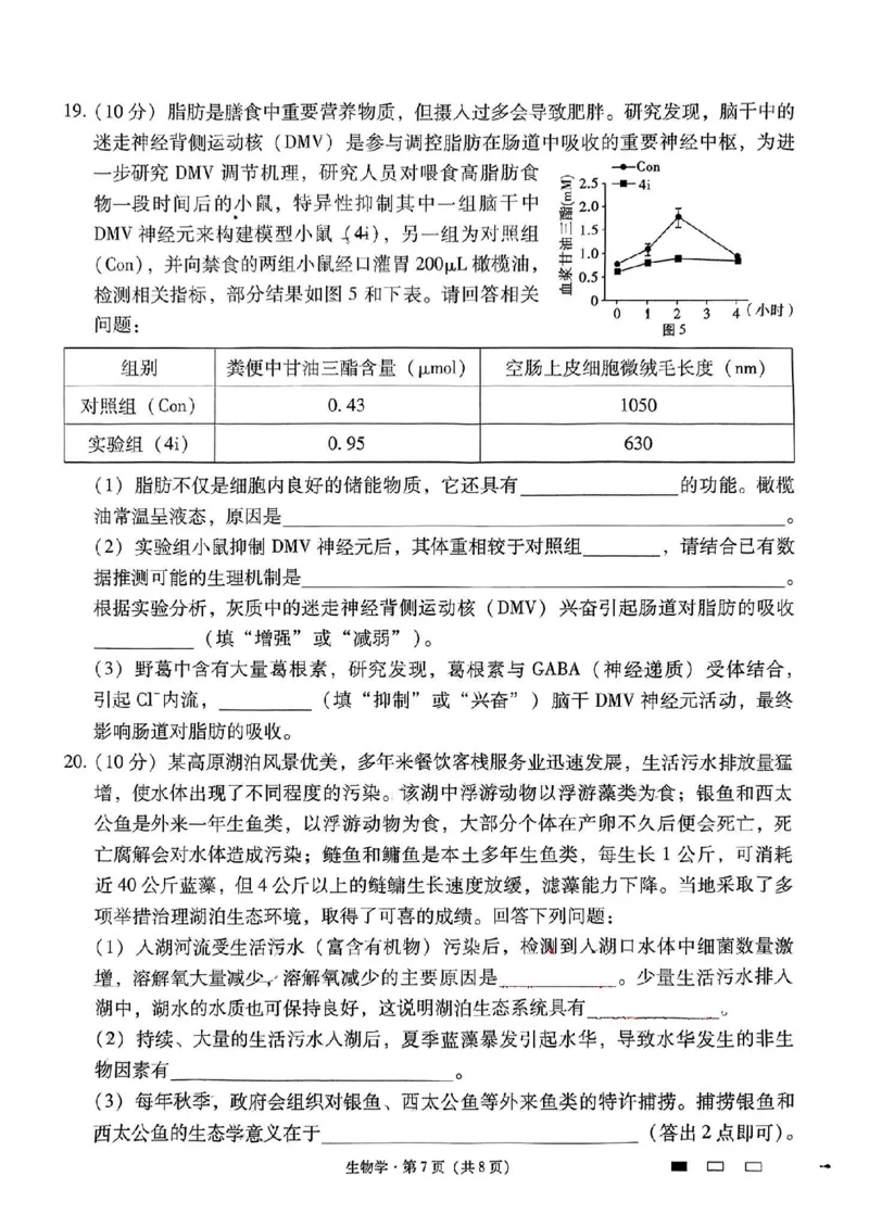 生物+2025届高三云南师大附中试卷及答案（月考九）_2025年5月_250518云南师大附中2025届高考适应性月考卷（九）