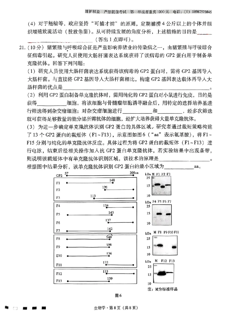生物+2025届高三云南师大附中试卷及答案（月考九）_2025年5月_250518云南师大附中2025届高考适应性月考卷（九）