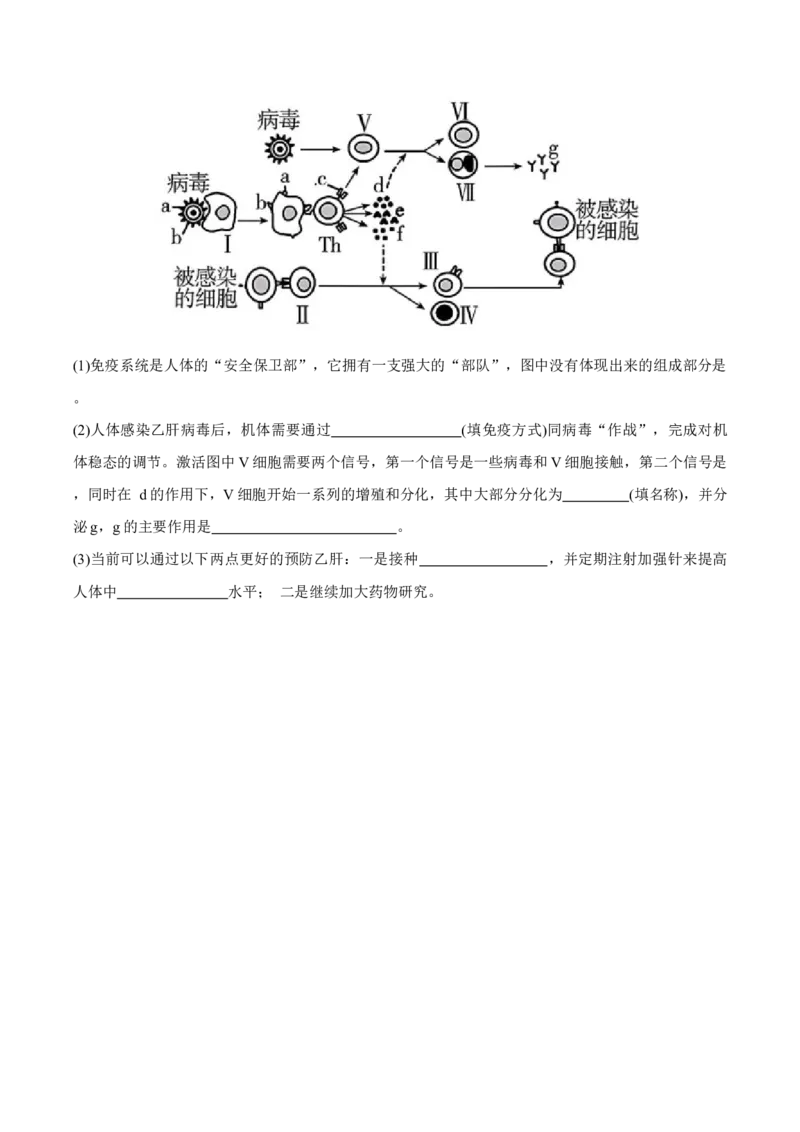 黑龙江省佳木斯市第一中学2025届高三上学期第五次调研考试生物Word版含答案_2025年1月_250108黑龙江省佳木斯市第一中学2025届高三上学期第五次调研考试（全科）