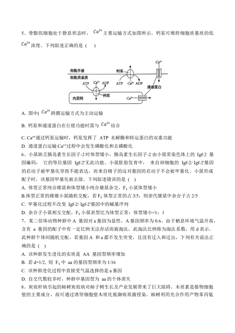 黑龙江省佳木斯市第一中学2025届高三上学期第五次调研考试生物Word版含答案_2025年1月_250108黑龙江省佳木斯市第一中学2025届高三上学期第五次调研考试（全科）